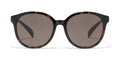 SG STANDARD 067 186
