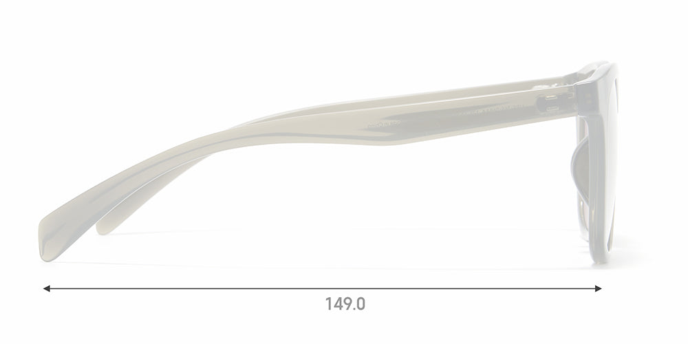 SG STANDARD 068
